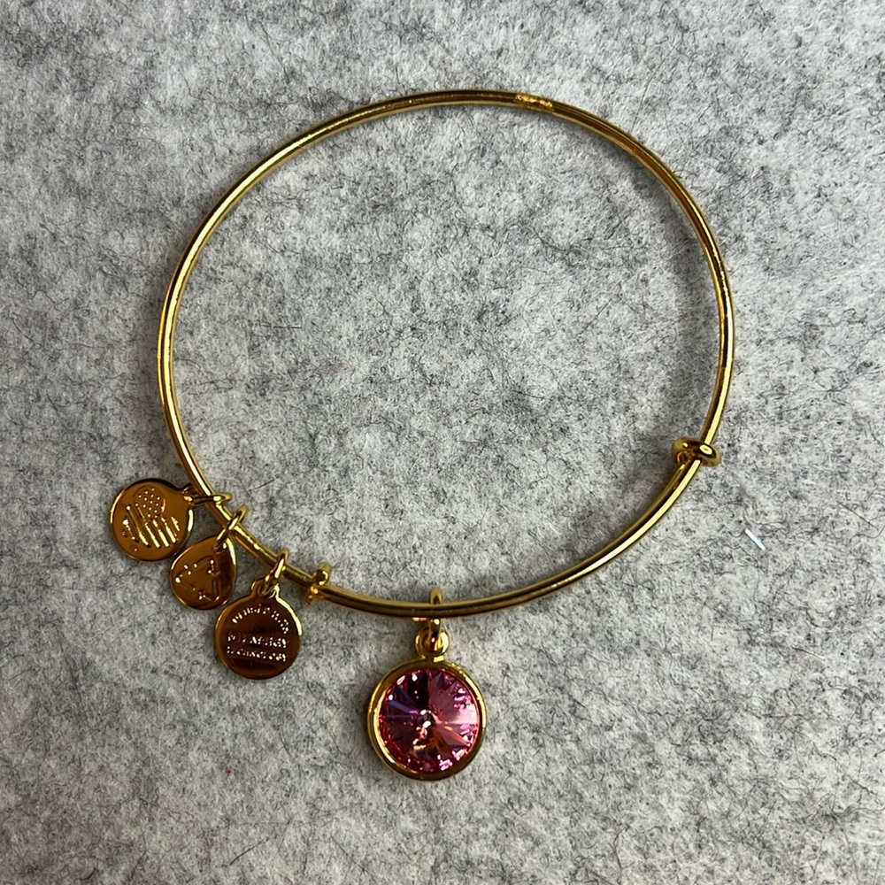 Alex and Ani charm bangle